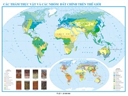Bản đồ Các thảm thực vật và các nhóm đất chính trên Thế Giới